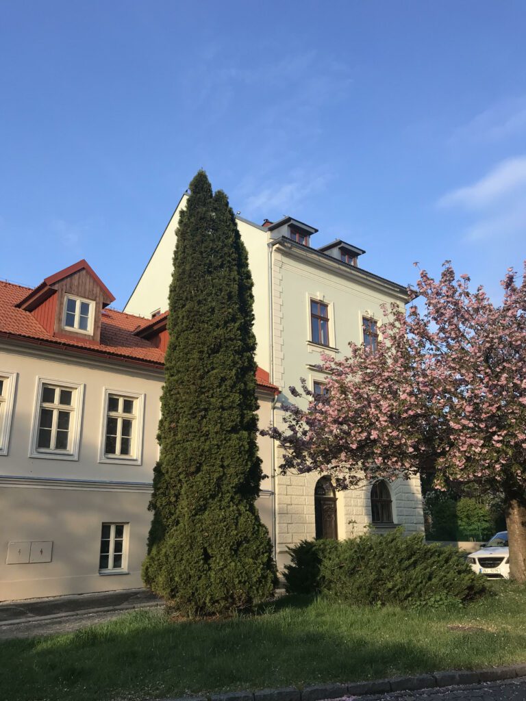 Apartmány Bašta - exteriér