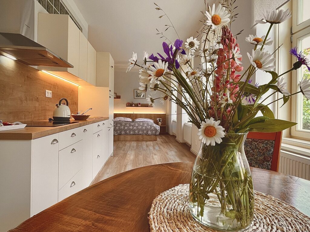 Apartmány Bašta - Apartmán Family