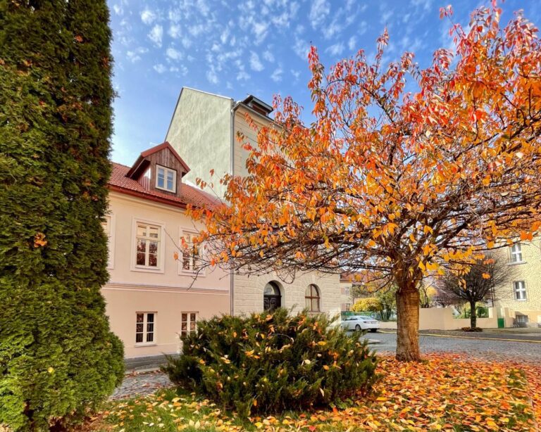 Apartmány Bašta