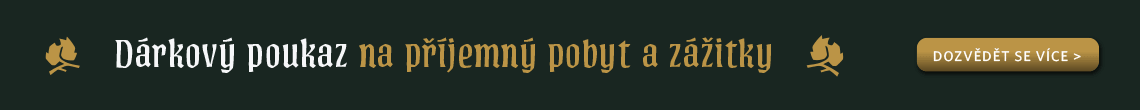 BASTA_DP_BASTA_webban_1140x110_R